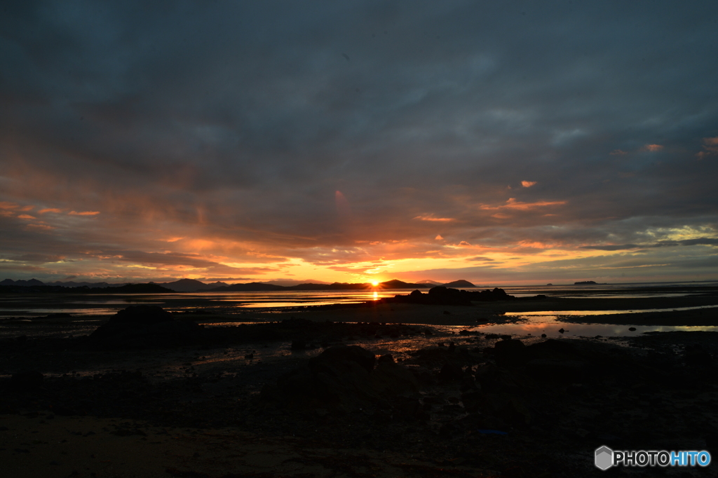 今日の朝の散歩