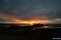 今日の朝の散歩