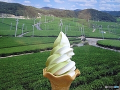 小野茶ソフトクリーム