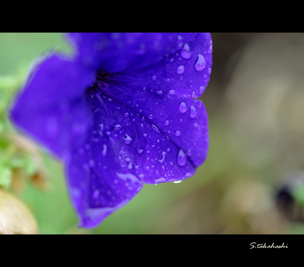 DSE_0165.2013.09.07.1