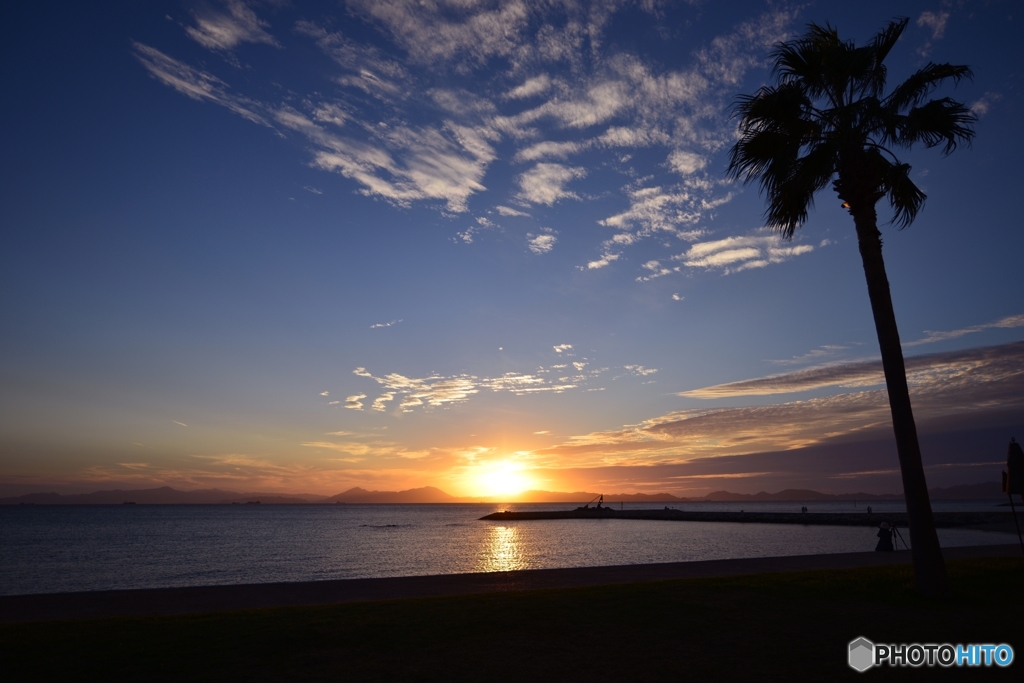 焼野海岸