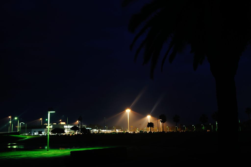 夜の散歩