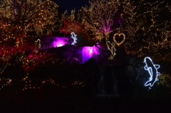 広島県庄原国営丘陵公園イルミネーション