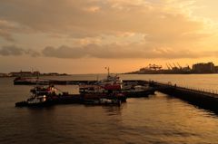 職場の2階からの風景