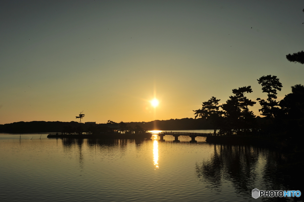 早朝の常盤公園ロクの散歩