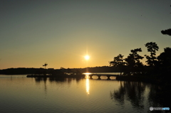 早朝の常盤公園ロクの散歩