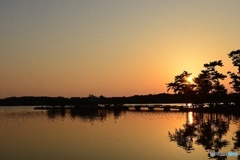 今朝の常盤公園