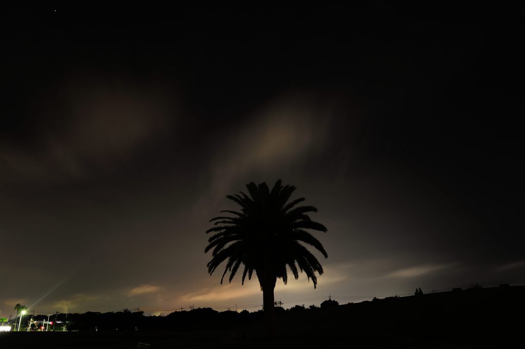 夜の散歩