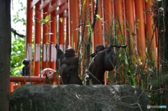 中津瀬神社