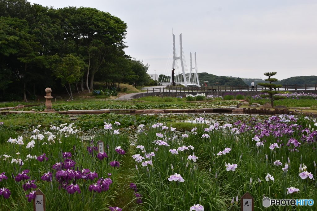 今朝の常盤公園