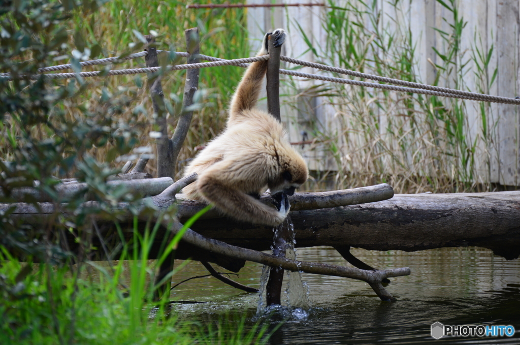 常盤動物園