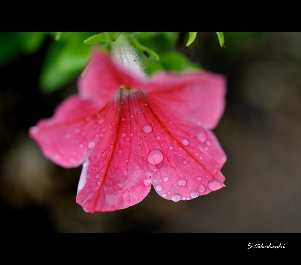 DSE_0151.2013.09.07.1