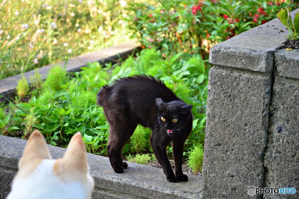 ロクもびっくり