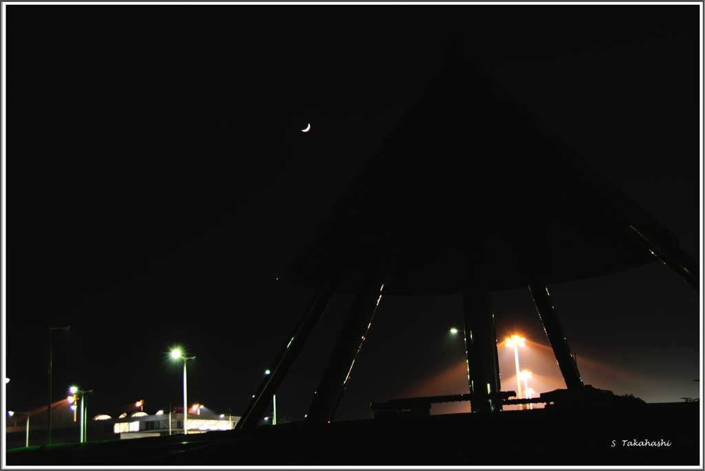 DSE_0023.2013.11.07.1