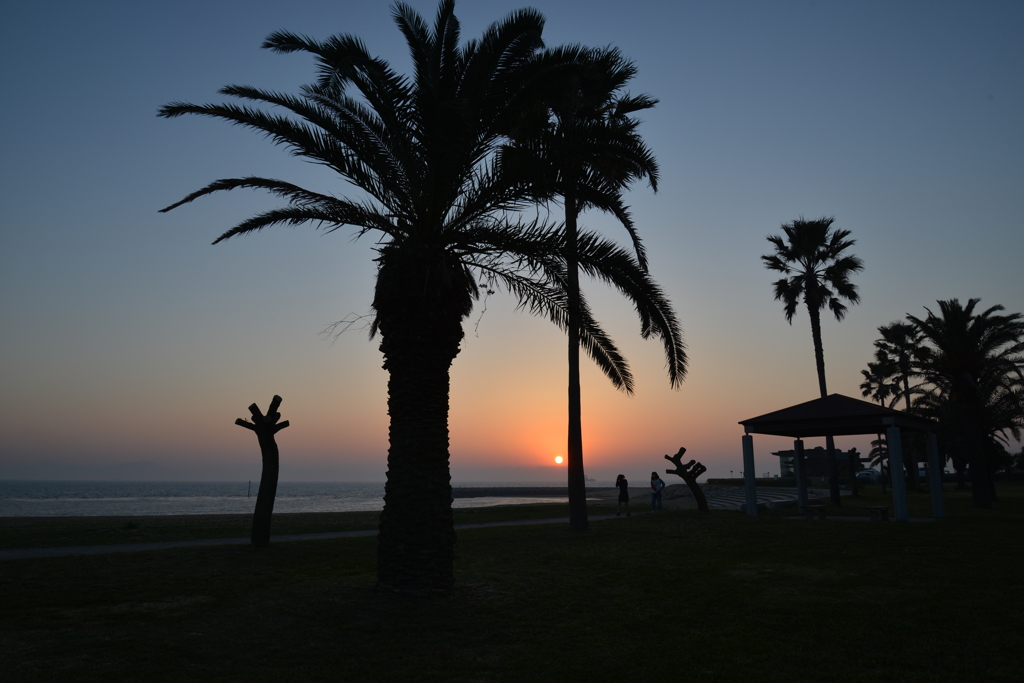 今日の焼野海岸