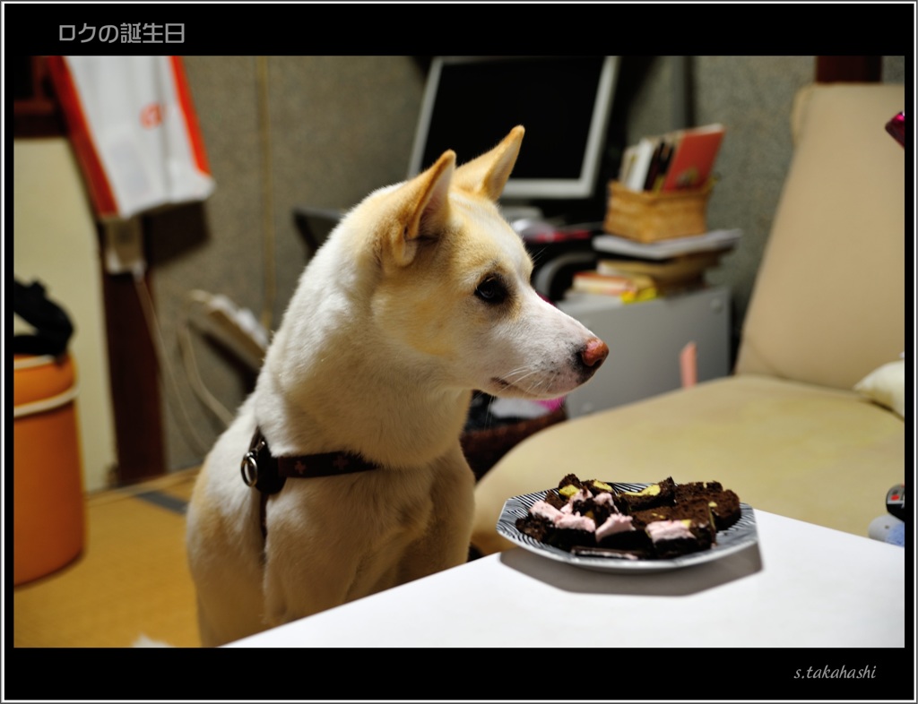 誕生日ケーキを前にして