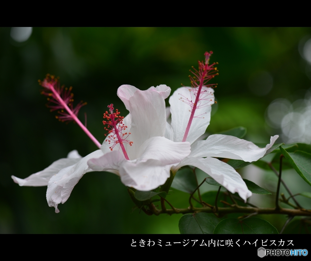 温室