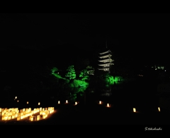 山口ゆらめき回廊