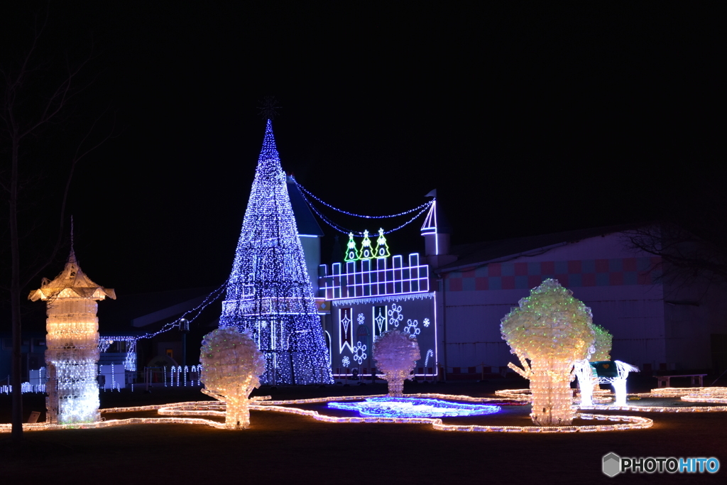 2019年ときわ公園イルミネーション