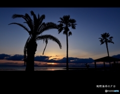 焼野海岸