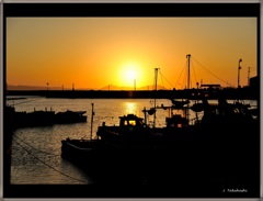 漁港からの夕日