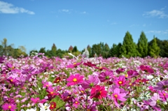 広島県庄原国営丘陵公園