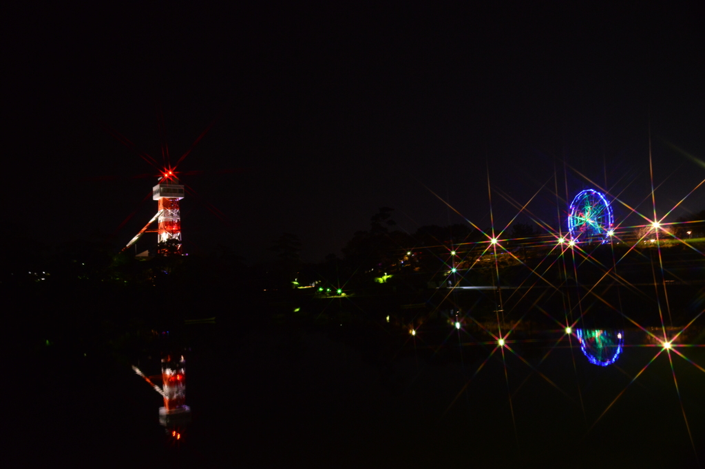 夜の常盤公園