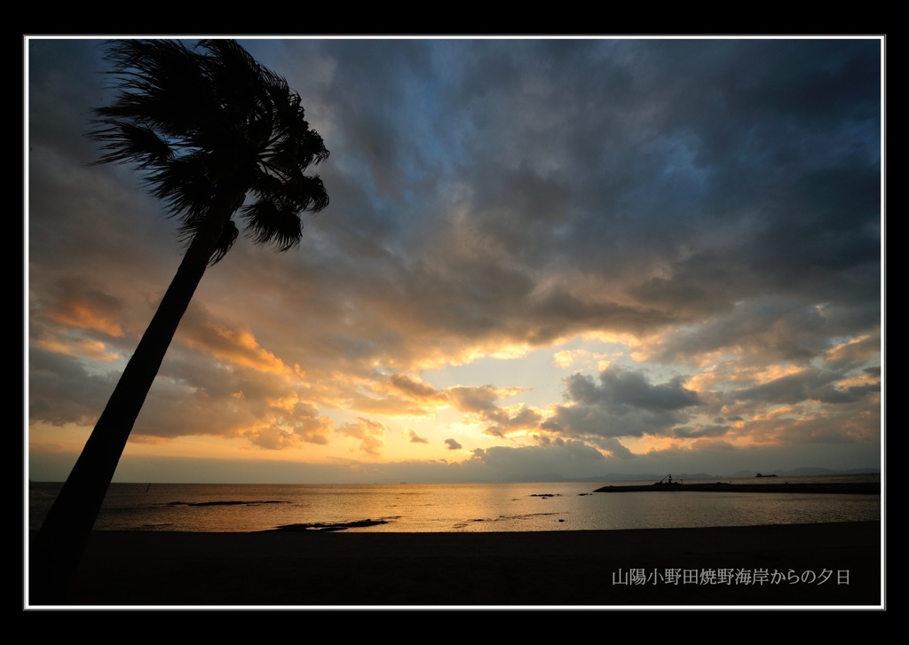 焼野海岸からの夕日