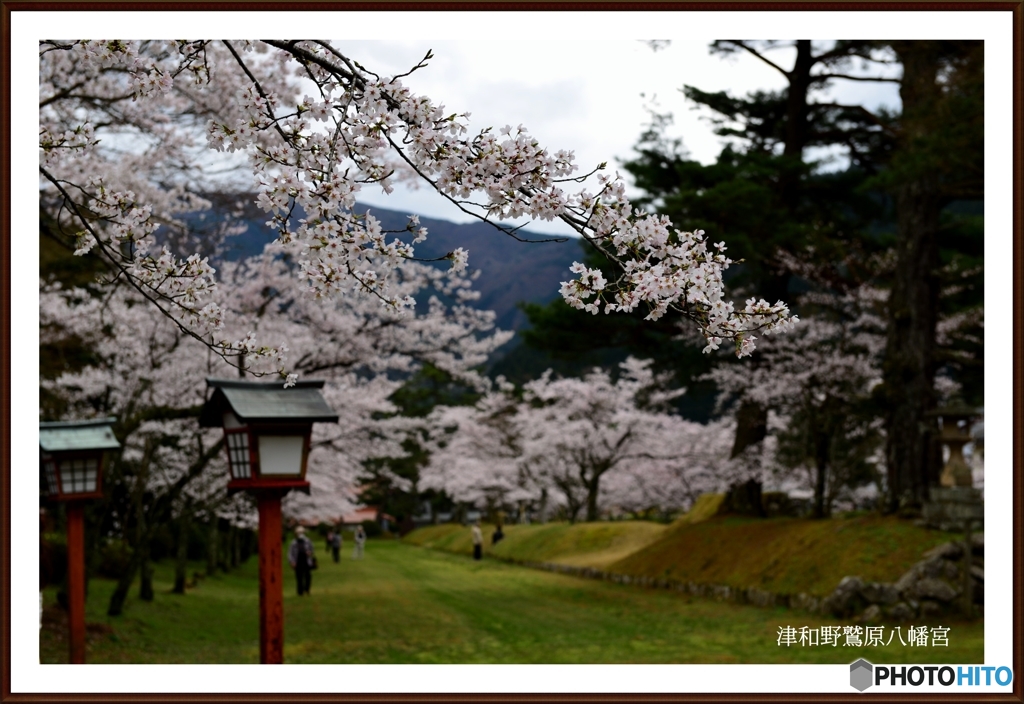 島根県津和野鷲原八幡宮