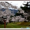 島根県津和野鷲原八幡宮