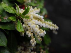 2013.03.22.02basuiboku