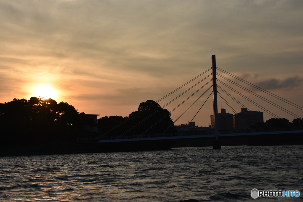 今日の夕方の常盤公園