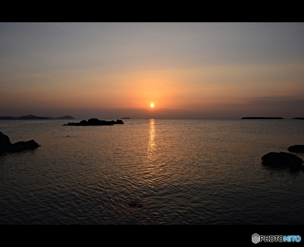 今朝の朝の散歩