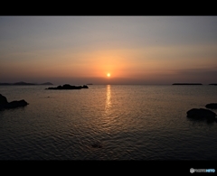 今朝の朝の散歩