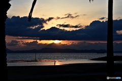 焼野海岸