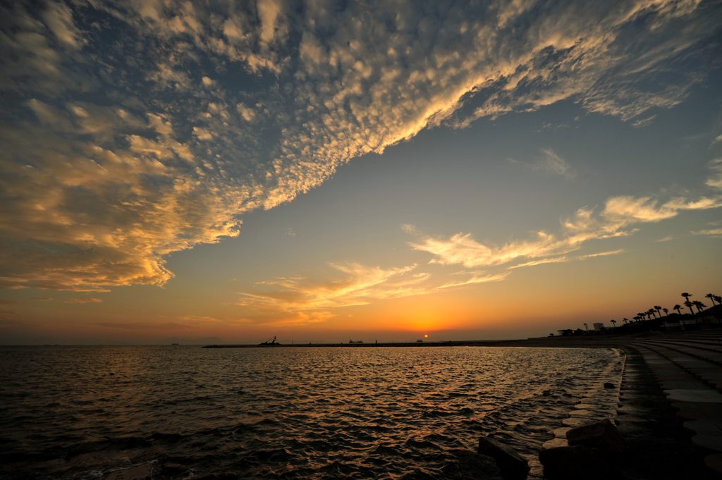 焼野海岸