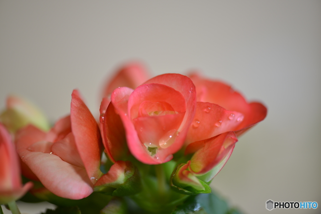 DSC_3179