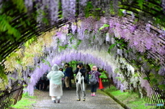 河内藤園