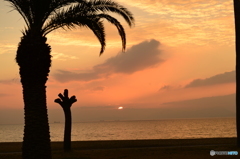 焼野海岸の夕日