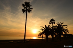 焼野海岸からの夕陽