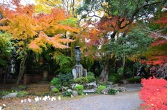 宇部市蓮光寺