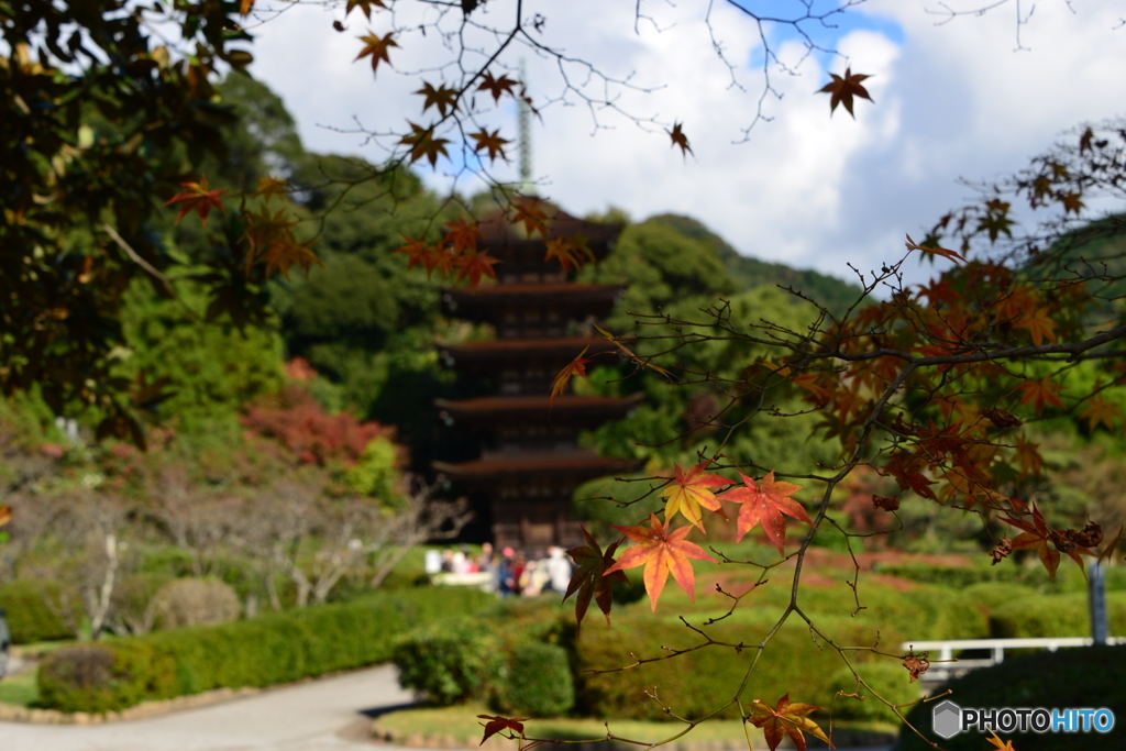 秋の瑠璃光寺五重塔
