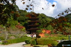 秋の瑠璃光寺五重塔