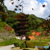 秋の瑠璃光寺五重塔