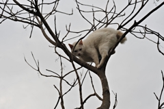 常盤公園の散歩中に