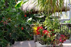 温室内の休憩所