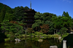 瑠璃光寺五重塔