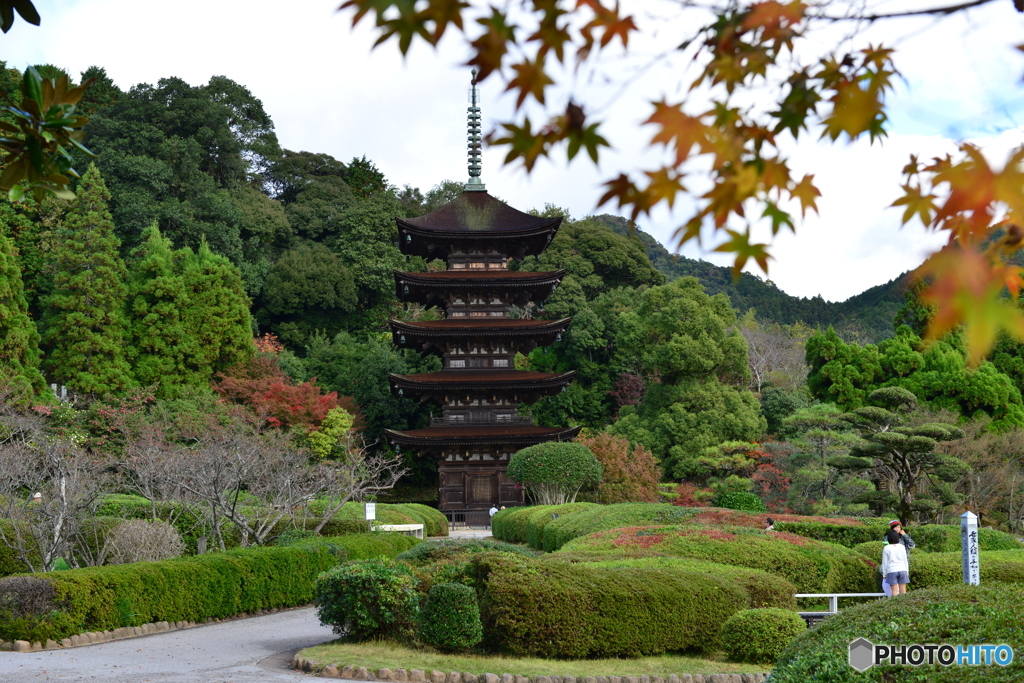 秋の瑠璃光寺五重塔