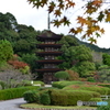 秋の瑠璃光寺五重塔