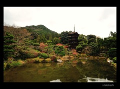 瑠璃光寺五重塔